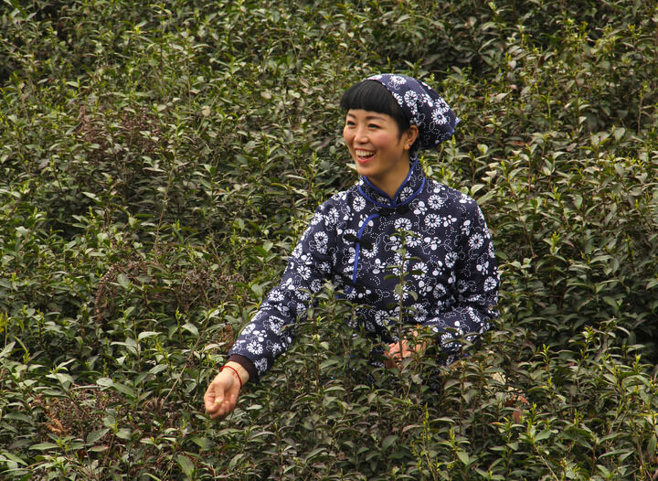 蛇蝎女人香